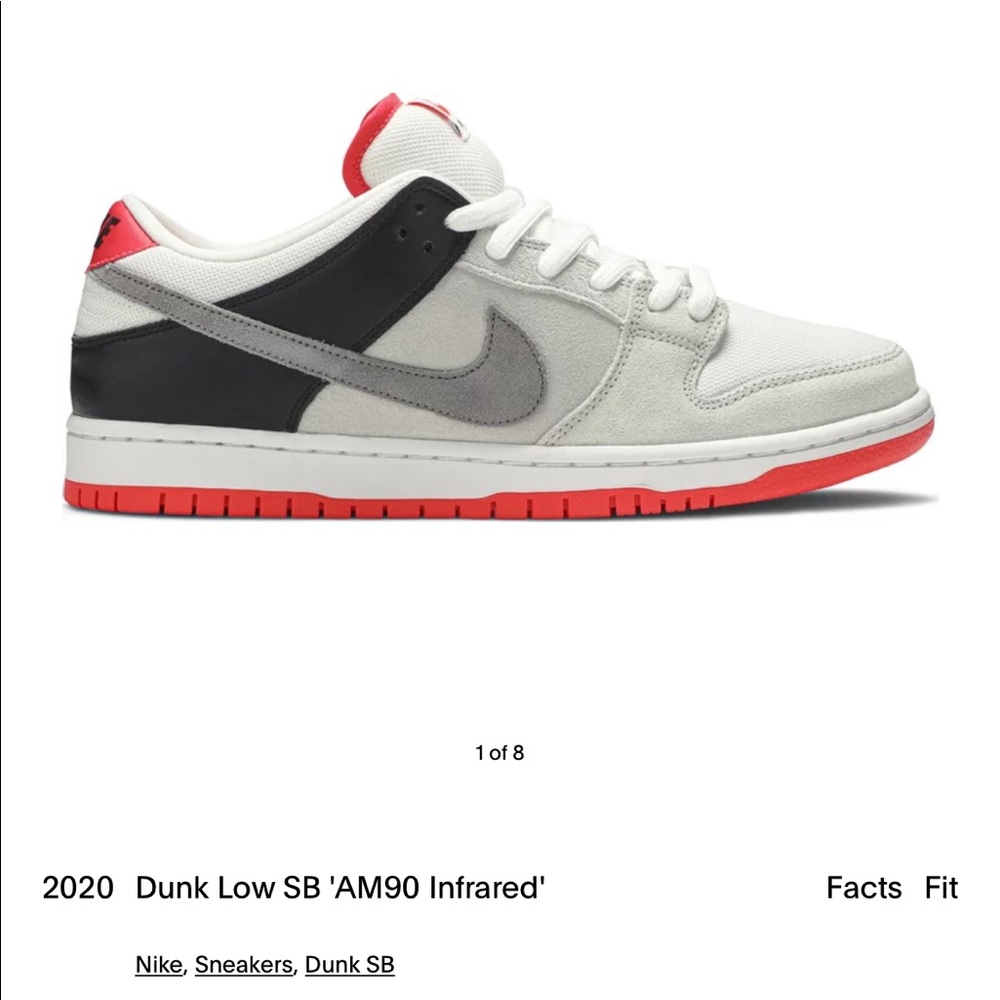 Nike Infrared Dunks